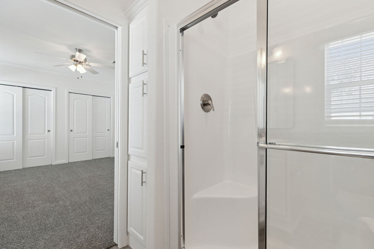 Silver Springs LE 4893
