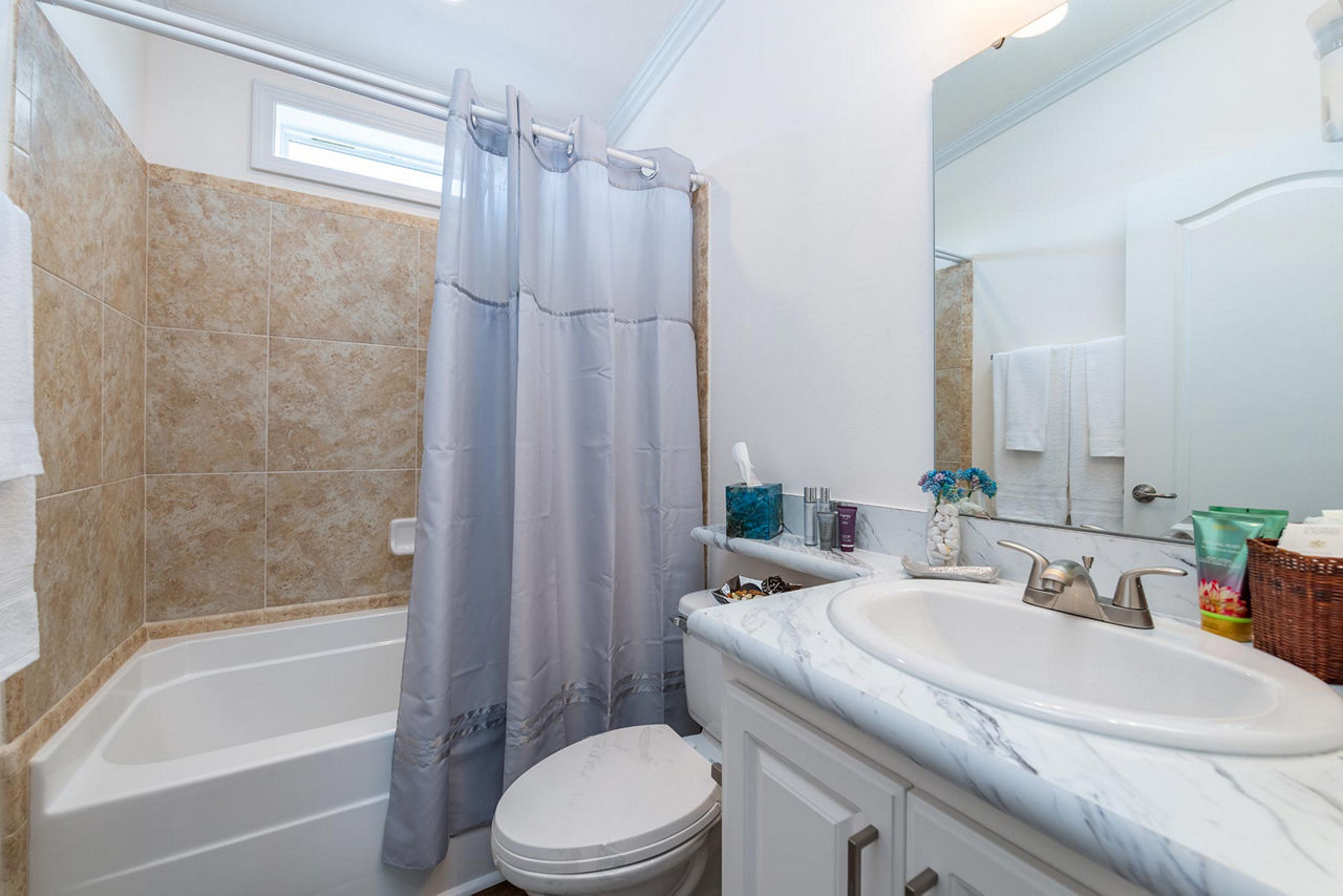 Silver Springs LE 5029-A