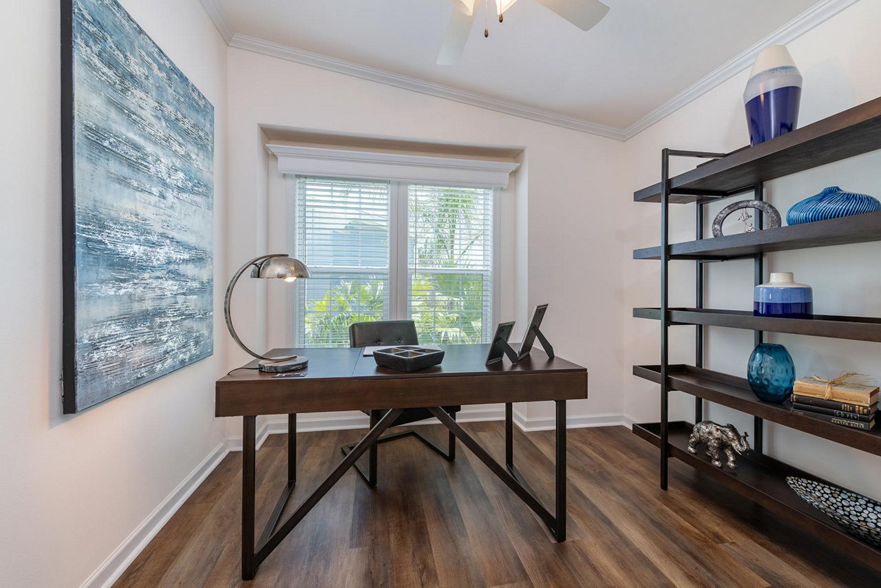 Silver Springs LE 5029-A