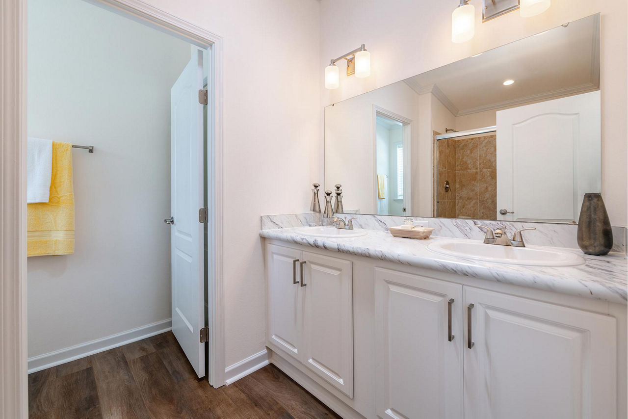 Silver Springs LE 5029-A