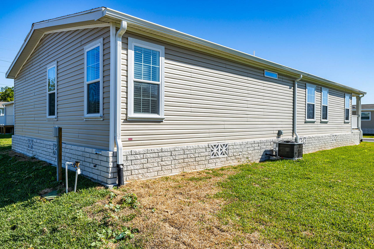 Silver Springs LE 5361