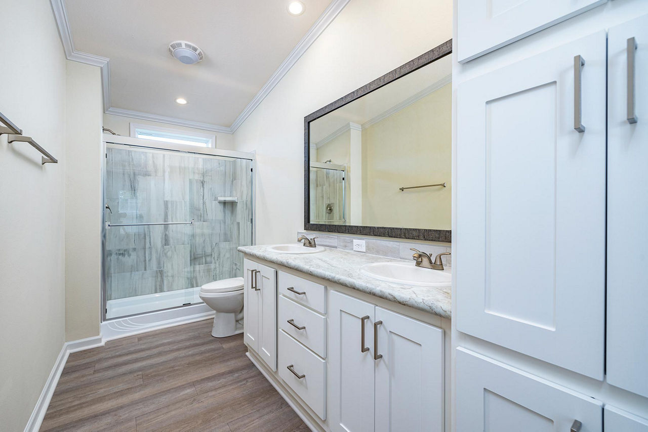 Silver Springs LE 5361