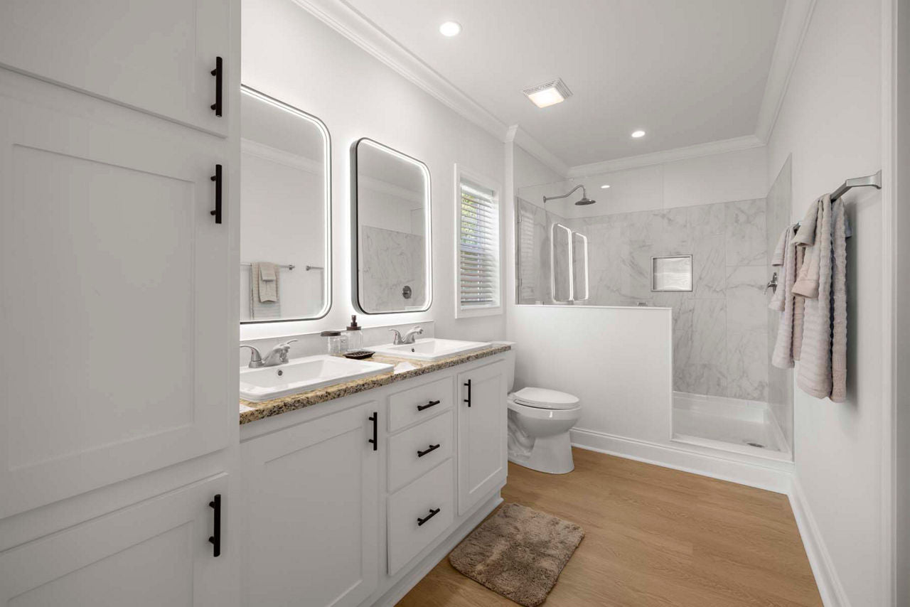 Silver Springs LE 5355