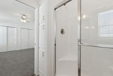 Silver Springs LE 4893