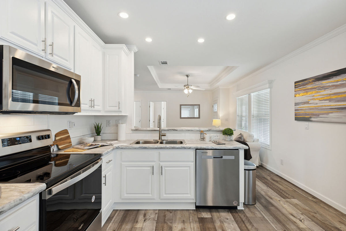 Silver Springs LE 5029-A