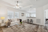 Silver Springs LE 5029-A