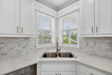 Silver Springs LE 4894