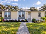 Silver Springs LE 5333 - 3B