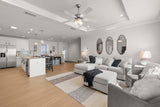 Silver Springs LE 5355