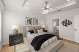 Silver Springs LE 5355