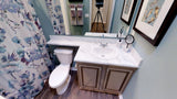 Silver Springs LE 5354 - 3B