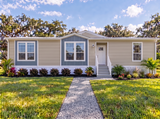 Silver Springs LE 5333 - 3B