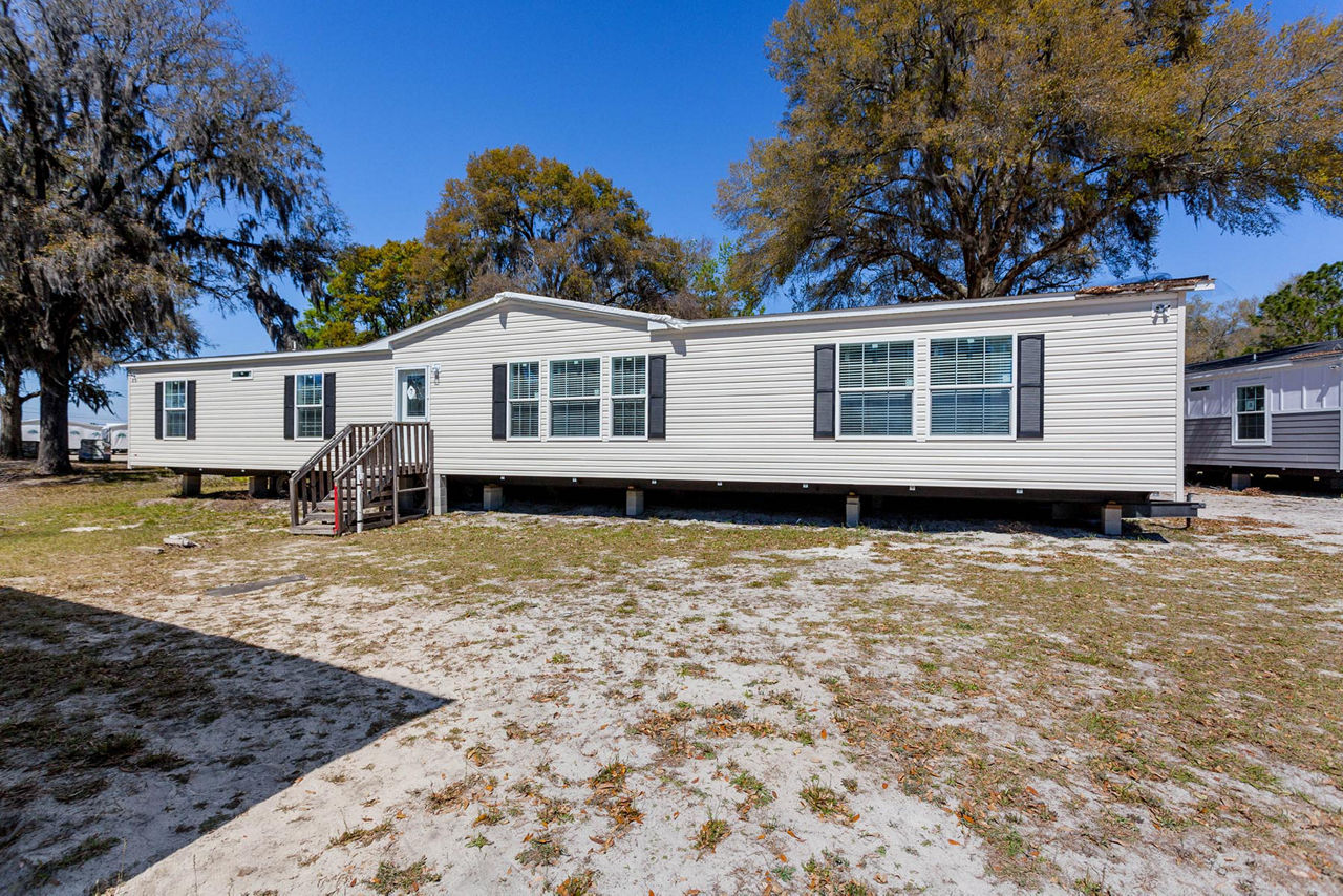 Pine Manor PM0764D